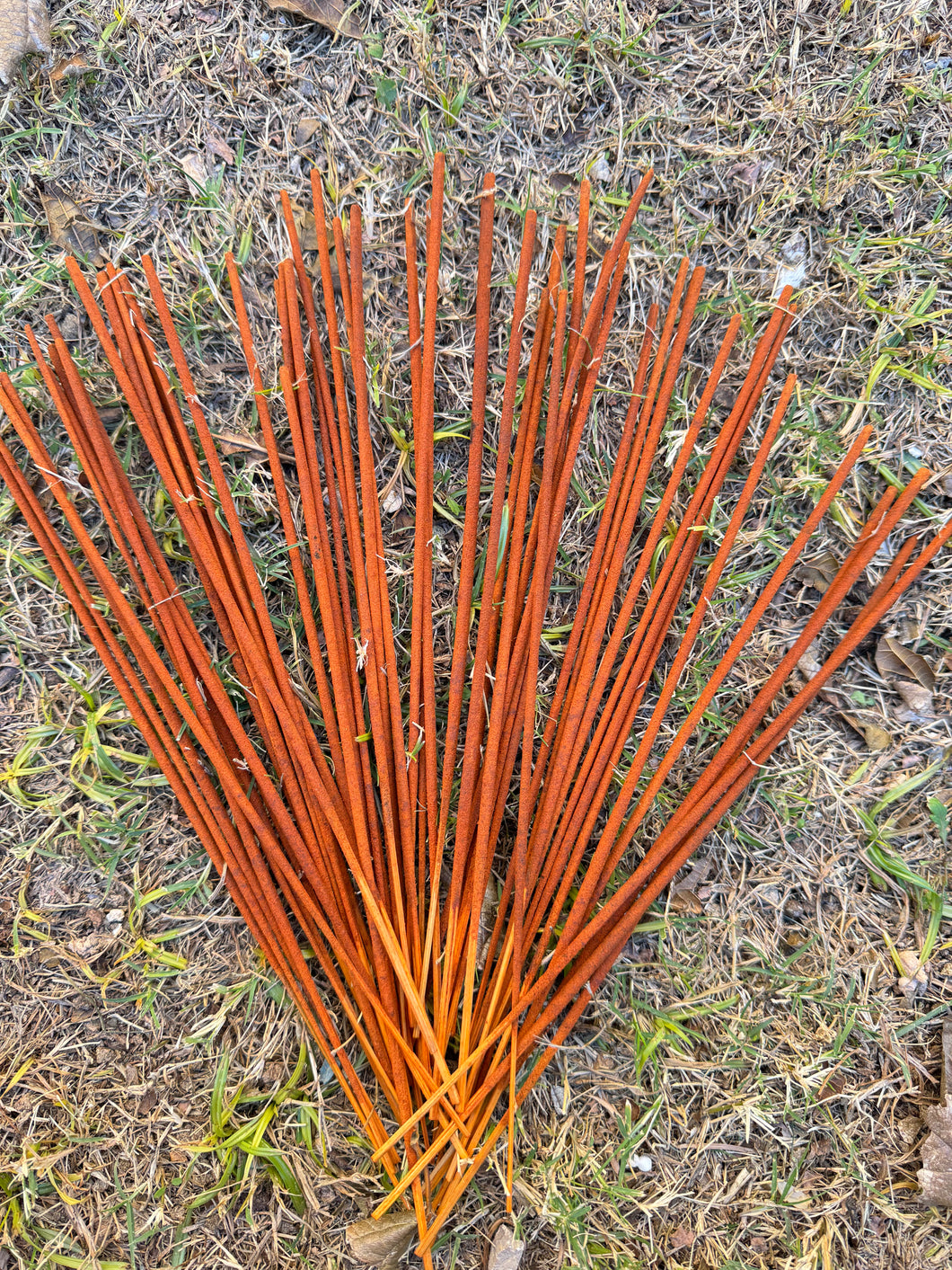 Insienso para armonizar tu hogar